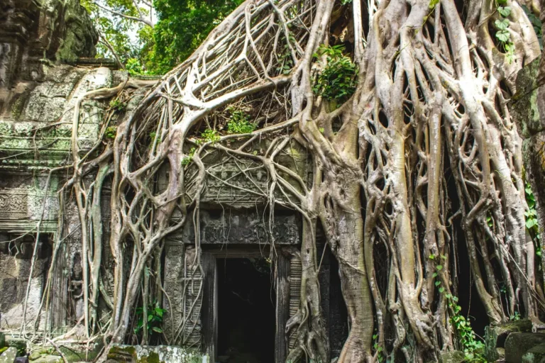 Angkor Wat