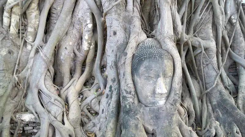 瑪哈泰寺 (Wat Mahathat)