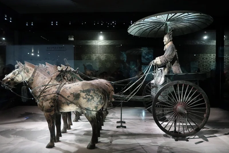 銅車馬展廳： 展示精美絕倫的青銅馬車。