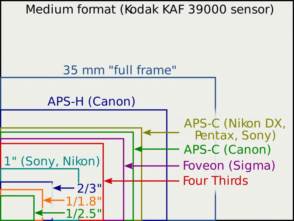 Sensor sizes overlaid inside 1