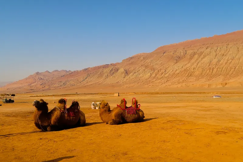 新疆吐魯番旅遊指南:中國大陸最熱的城市,Turpan 絲路之旅 8 圖:這應該是要給遊客騎的,但是我去的時候是淡季。