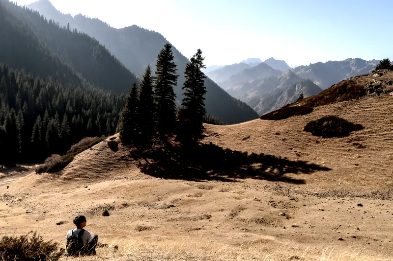 在天山大峽谷看著遼闊的森林。