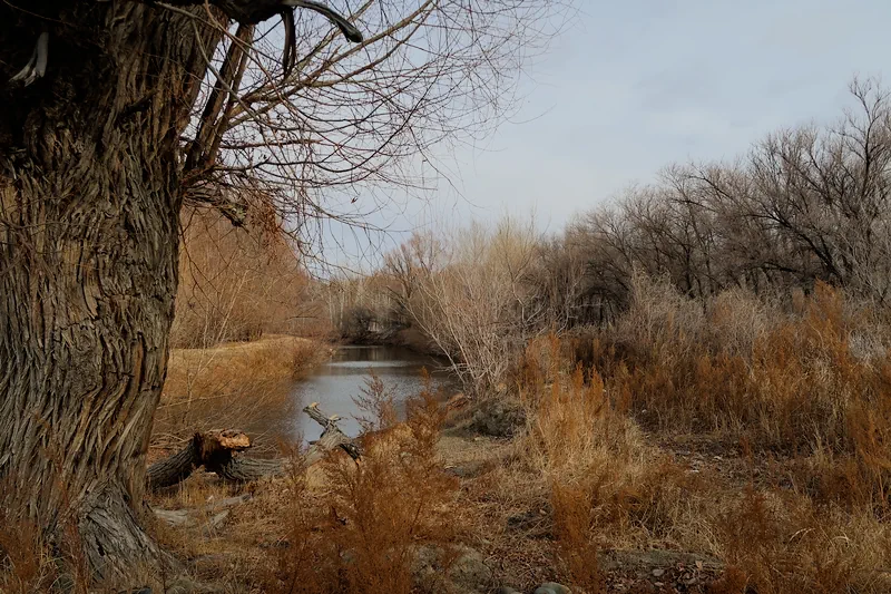 布爾津鎮 (Burqin Town)