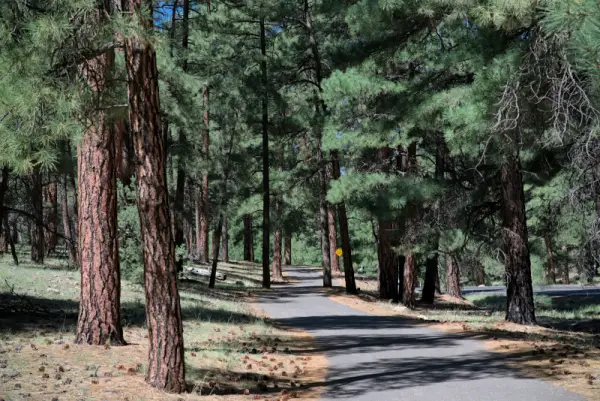 Grand Canyon-環邊步道(Rim Trail)