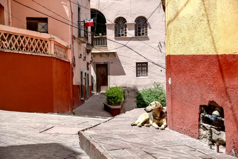 Guanajuato Downtown-19