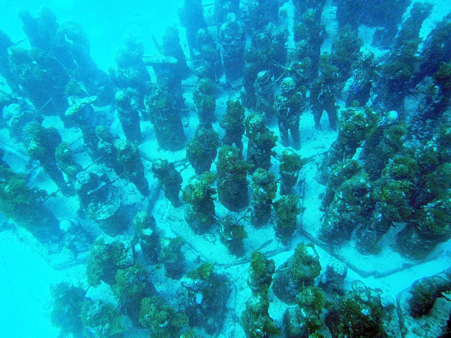 展出 500 多座真人大小的雕塑，旨在促進珊瑚和其他海洋生物的生長。