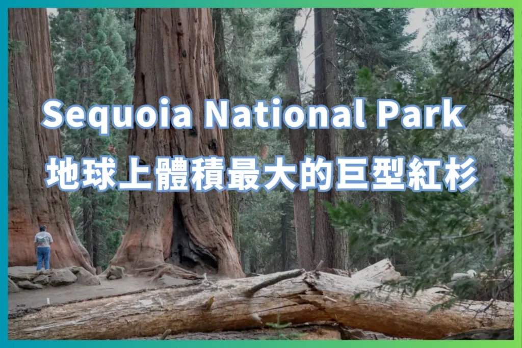 美國紅杉國家公園自駕遊記【Sequoia National Park】地球上體積最大的巨型紅杉 24 Sequoia National Park 地球上體積最大的巨型紅杉