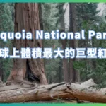 Sequoia National Park 地球上體積最大的巨型紅杉