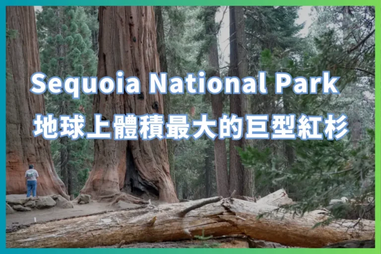 Sequoia National Park 地球上體積最大的巨型紅杉
