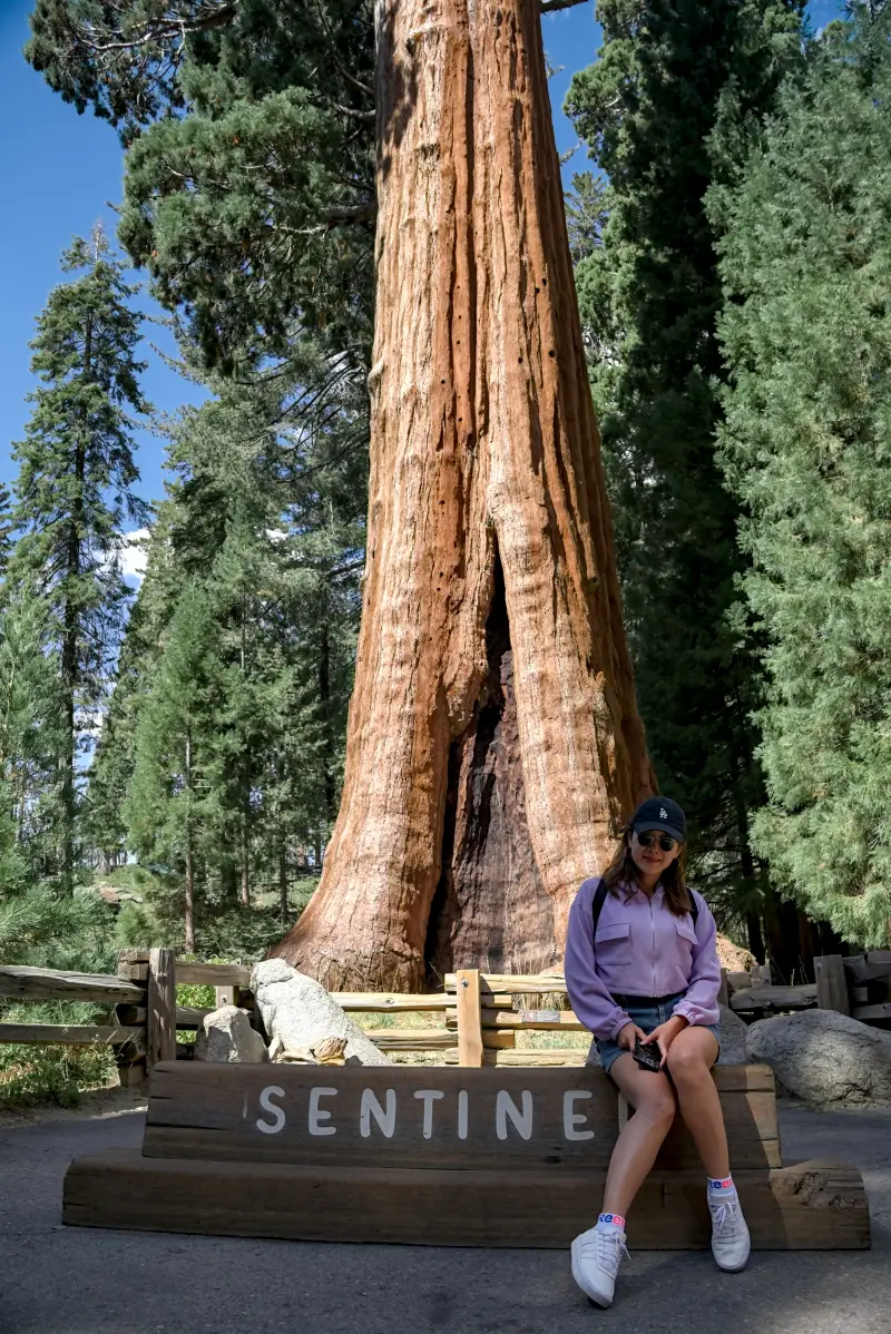 巨人森林遊客中心 