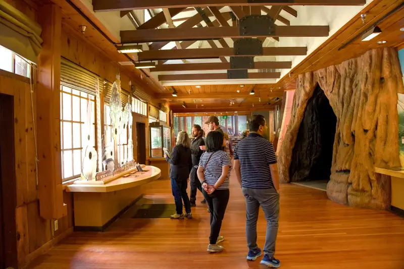 巨人森林遊客中心 