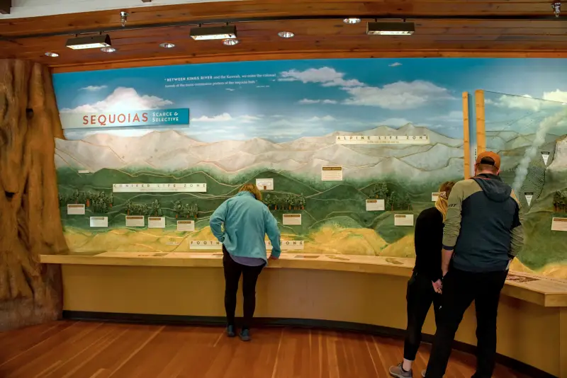 巨人森林遊客中心 