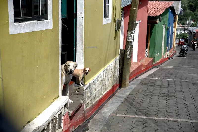 【阿蒂特蘭湖】瓜地馬拉旅遊全紀錄:世界上最美麗的湖泊 Lago de Atitlán,6座湖畔城鎮介紹 22 藝術村(Artisan Village)#4