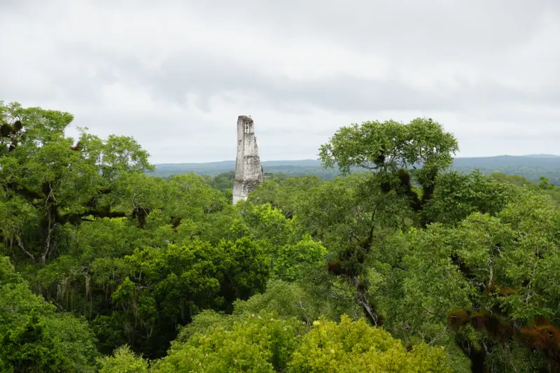 a tall stone tower in a forest，神廟 III (Temple III)