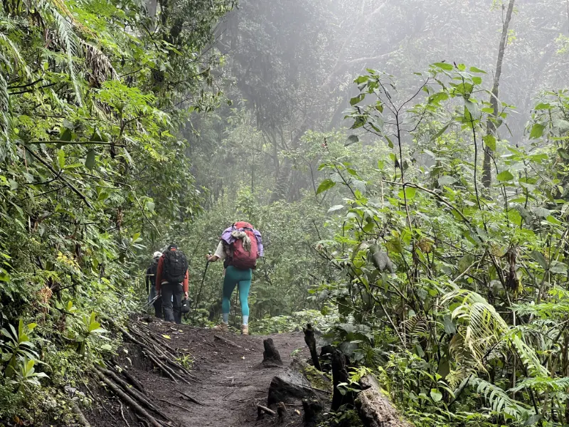 【阿卡特南戈火山】健行攀登:瓜地馬拉的雲端之上 Acatenango 旅遊指南 19 終於快到山下了!