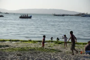 祕魯自由行 帕拉卡斯 : 當太平洋遇到沙漠 Paracas 旅遊指南 17 EL CHACO 海灘