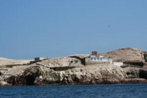 祕魯自由行 帕拉卡斯 : 當太平洋遇到沙漠 Paracas 旅遊指南 32 鳥島 (Islas Ballestas) 巴耶斯塔斯群島
