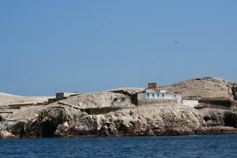 鳥島 (Islas Ballestas) 巴耶斯塔斯群島