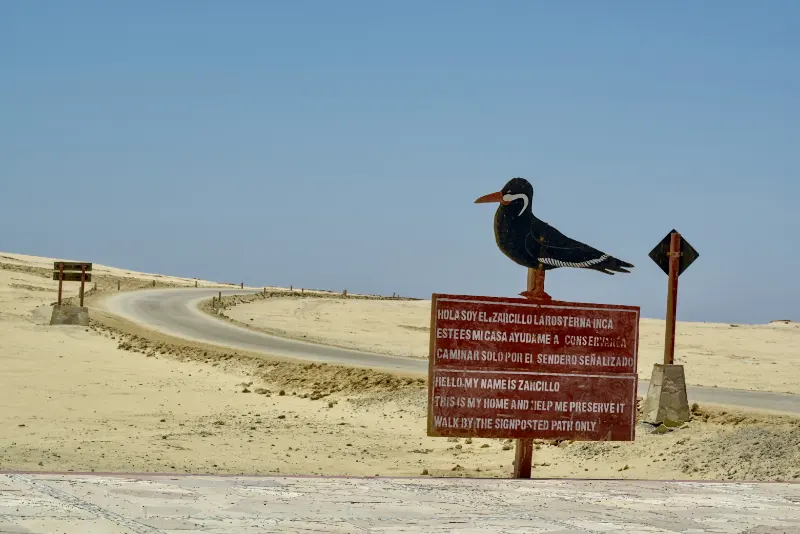 帕拉卡斯國家保護區 (Paracas National Reserve)