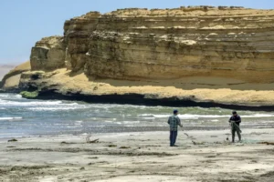 祕魯自由行 帕拉卡斯 : 當太平洋遇到沙漠 Paracas 旅遊指南 27 local fishermen in Paracas