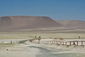 祕魯自由行 帕拉卡斯 : 當太平洋遇到沙漠 Paracas 旅遊指南 21 帕拉卡斯國家保護區 (Paracas National Reserve)