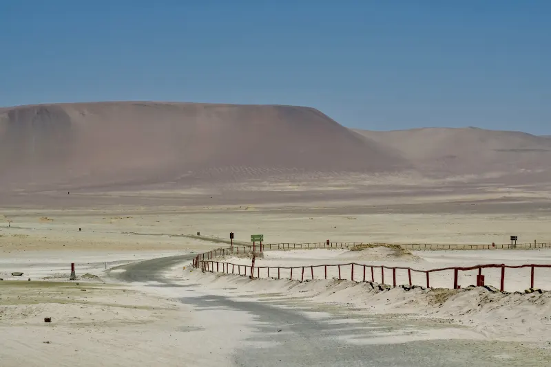 帕拉卡斯國家保護區 (Paracas National Reserve)