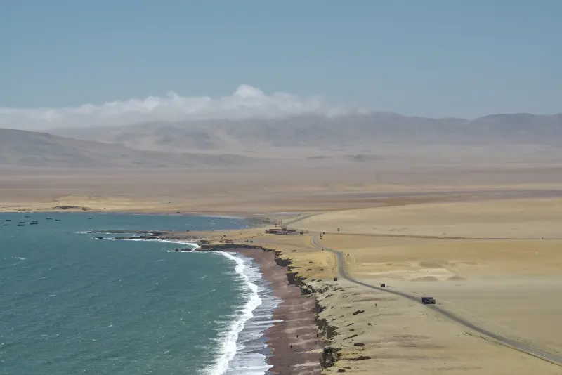 帕拉卡斯國家保護區 (Paracas National Reserve)