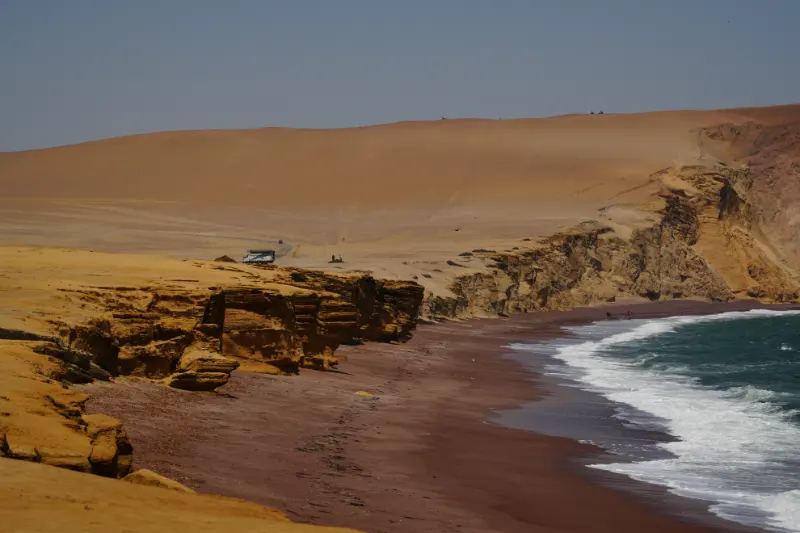 祕魯自由行 帕拉卡斯 : 當太平洋遇到沙漠 Paracas 旅遊指南 24 帕拉卡斯國家保護區 (Paracas National Reserve)