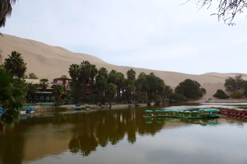 【祕魯自由行】 瓦卡奇納 Huacachina 從綠洲沙丘邊緣觀看令人驚嘆的日落 旅遊指南 10 瓦卡奇納湖 (Huacachina Lagoon)
