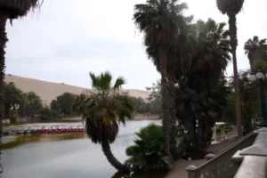 【祕魯自由行】 瓦卡奇納 Huacachina 從綠洲沙丘邊緣觀看令人驚嘆的日落 旅遊指南 12 瓦卡奇納湖 (Huacachina Lagoon)