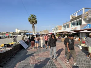 祕魯自由行 帕拉卡斯 : 當太平洋遇到沙漠 Paracas 旅遊指南 11 帕拉卡斯海灘大道(Malecon El Chaco)