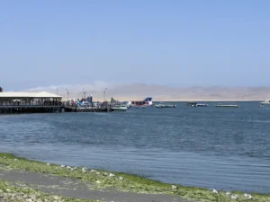 祕魯自由行 帕拉卡斯 : 當太平洋遇到沙漠 Paracas 旅遊指南 18 EL CHACO 海灘