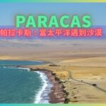 帕拉卡斯 當太平洋遇到沙漠 Paracas-001