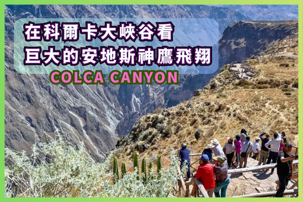 在科爾卡大峽谷看巨大的安地斯神鷹翱翔 - Colca Canyon 旅遊指南