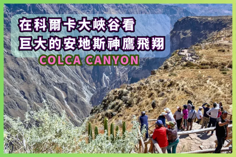 在科爾卡大峽谷看巨大的安地斯神鷹翱翔 - Colca Canyon 旅遊指南