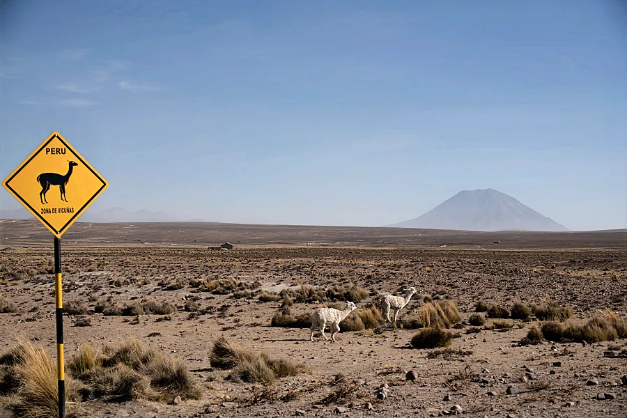 最後，回程的時候我們短暫的停留在 Salinas and Aguada Blanca 國家自然保護區。這裡看著羊駝群在優閒的散步，跟遠方美麗的米斯蒂火山 (Volcano Misti) 。真的是很療癒心靈啊！