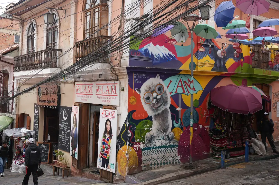 玻利維亞拉巴斯:世界最高的首都;最大的纜車運輸系統 La Paz 旅遊指南 14 我住在巫師市場附近,行動方便。