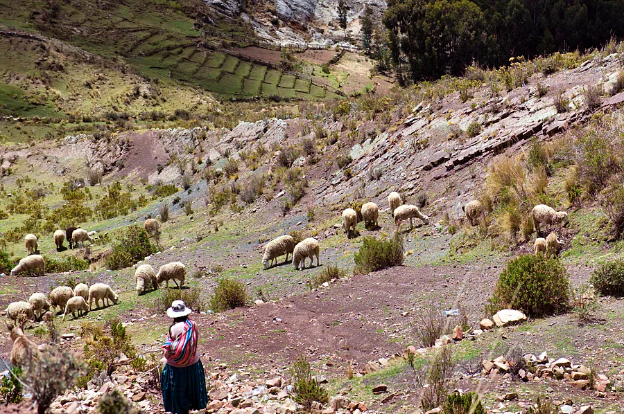 【Copacabana】Titicaca 世界上海拔最高的可航行湖泊：玻利維亞科帕卡瓦納旅遊指南