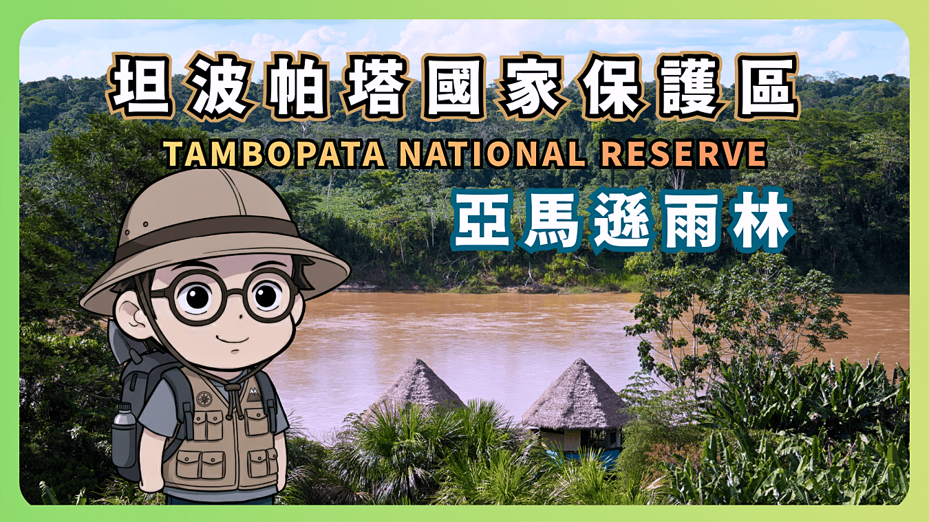 走進亞馬遜雨林深處，體驗驚奇的叢林生態之旅！【Tambopata & Puerto Maldonado】坦波帕塔國家保護區