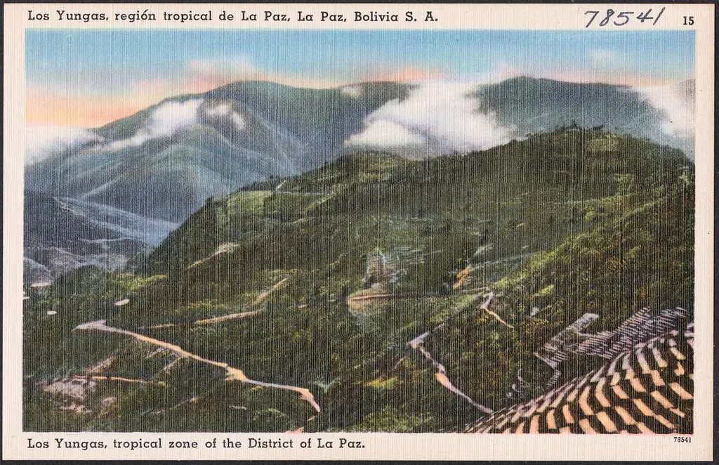 而這份報告被國際媒體廣泛報導後，「世界最危險的公路」正式成為這條路的全球標籤。