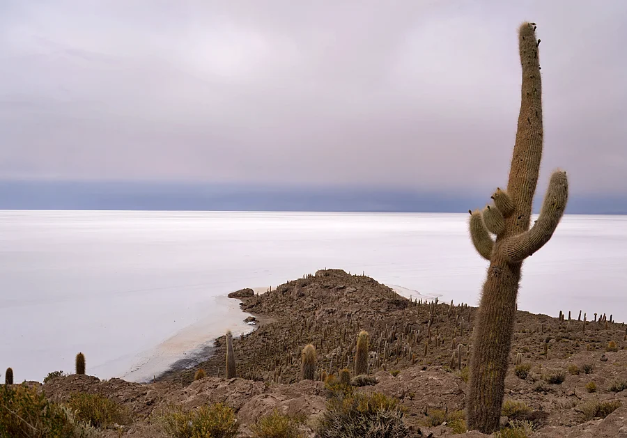 玻利維亞上的白色鹽沼 Uyuni:行走在地球上最大的鏡子 — 烏尤尼完全旅遊攻略 16 這裡不像在現實世界中會出現的場景。