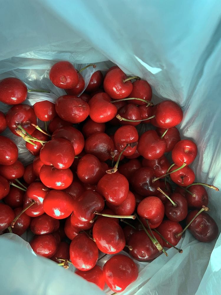 好吃的智利櫻桃！