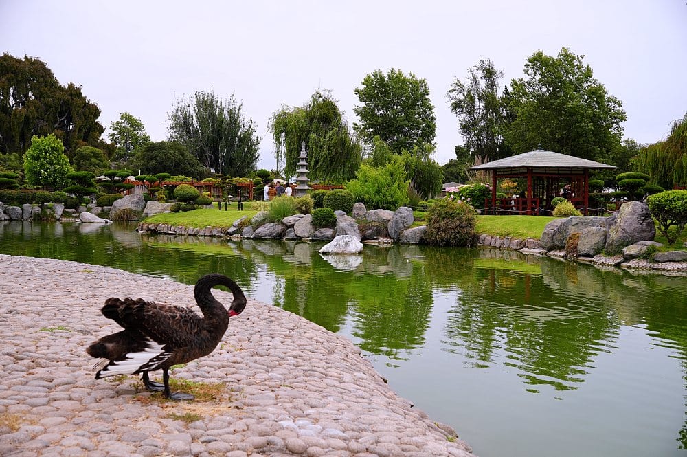 智利拉塞雷納的完美週末【La Serena, chile】不能錯過的最佳景點、一日遊 — 皮斯科酒、觀星