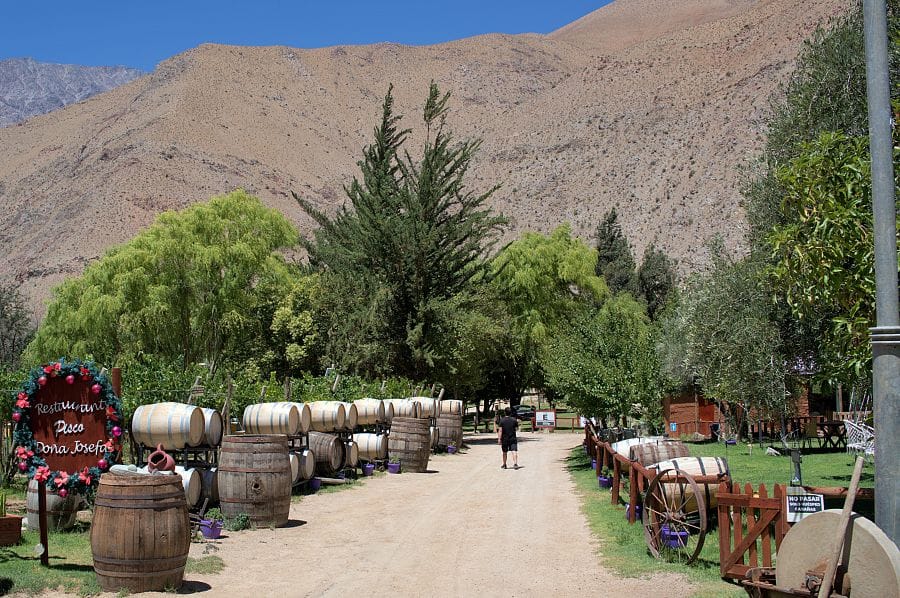 智利拉塞雷納的完美週末【La Serena, chile】不能錯過的最佳景點、一日遊 — 皮斯科酒、觀星