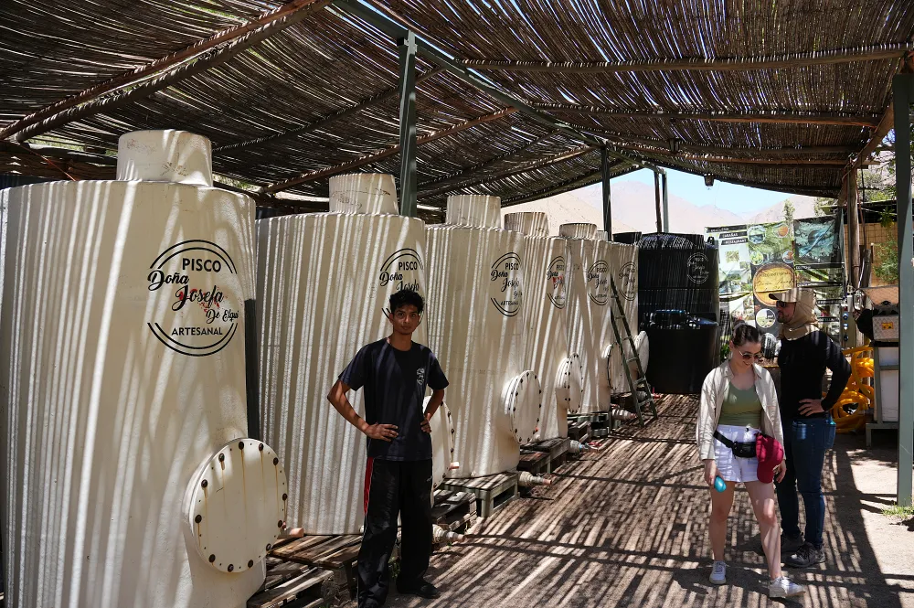 智利埃爾基谷自駕遊：觀星、銀河與皮斯可釀酒廠的朝聖之旅完全攻略（Elqui Valley, Chile）