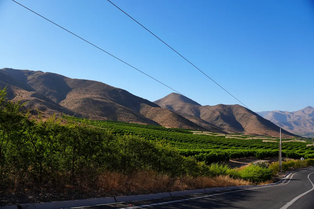 自駕的時候窗外的漂亮景色。