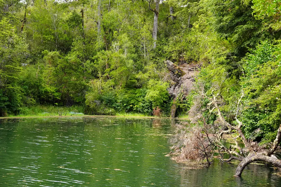 維森特·佩雷斯·羅薩萊斯國家公園的 Laguna Verde 步道。