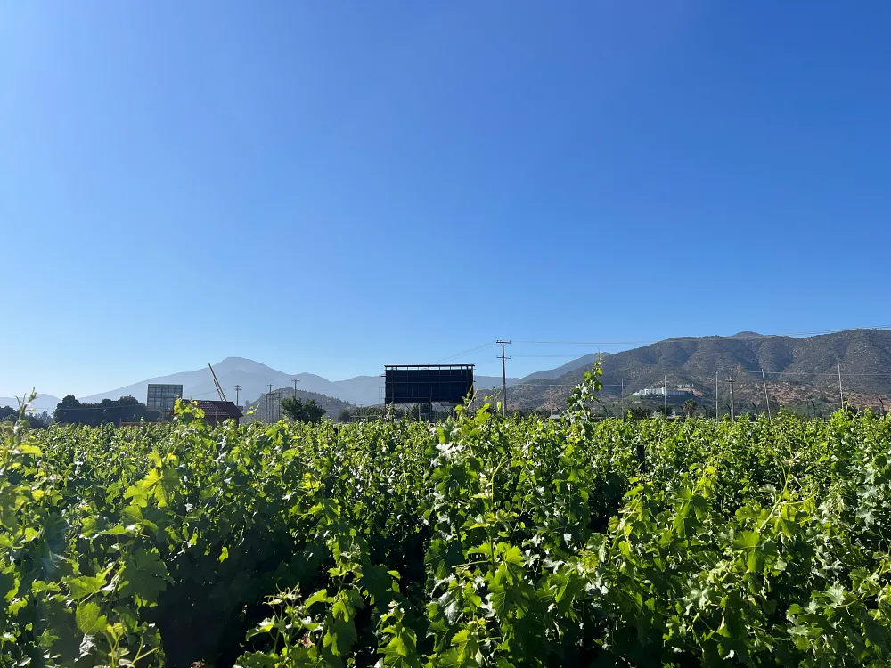 卡薩布蘭卡谷 (Casablanca Valley) 是享譽國際的頂級冷涼氣候葡萄酒產區，許多酒莊提供高水準的品酒、美食品嚐與導覽服務。