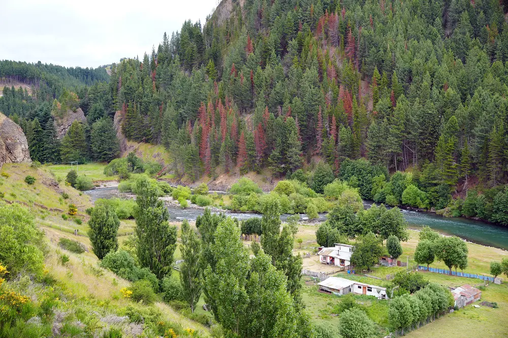 辛普森河（Río Simpson) 是當地重要的河流。 