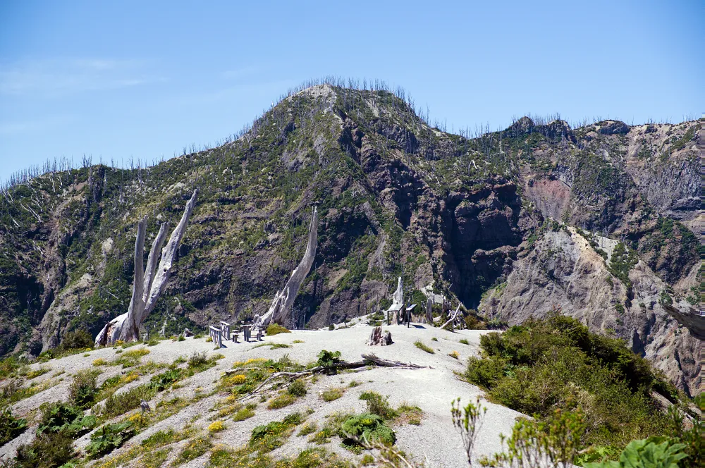 因為火山爆發，這裡整個山頭都可以看到光禿禿的枯木。